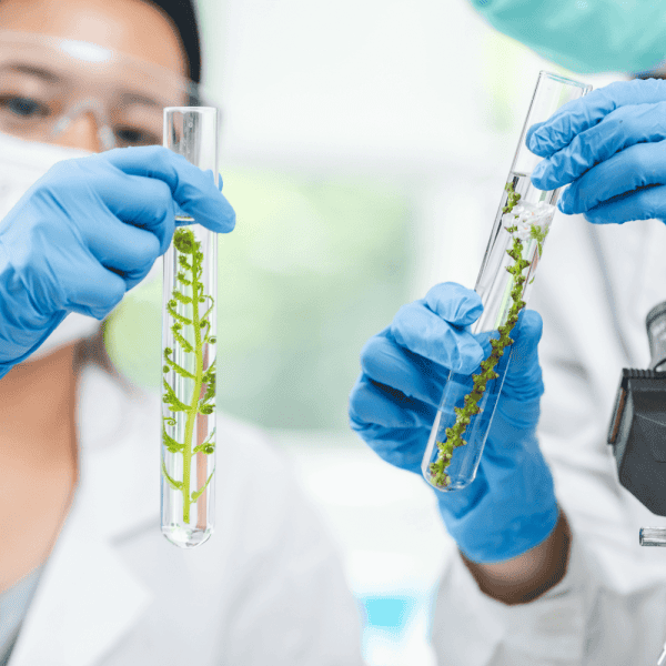 Clinical research for biotechnology companies in India